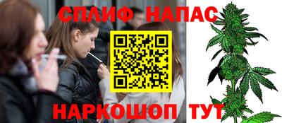 тгк Можга