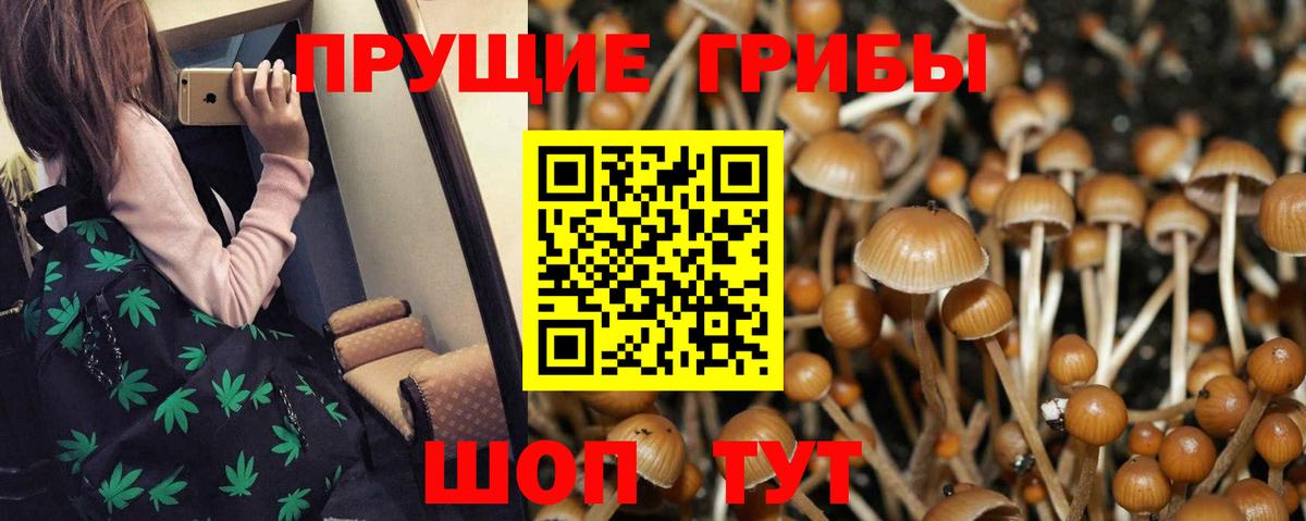 что такое   Вход с VPN  Галлюциногенные грибы Psilocybe  Брянск  Псилоцибиновые грибы мухоморы 