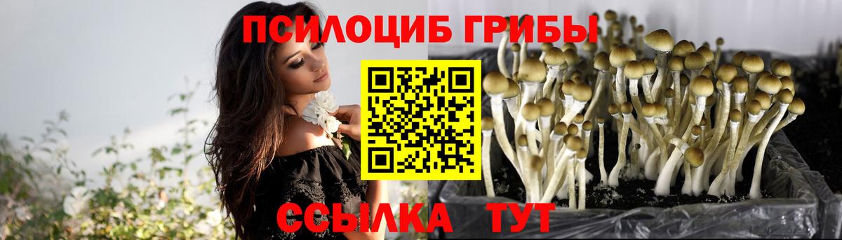 Псилоцибиновые грибы MAGIC MUSHROOMS Брянск